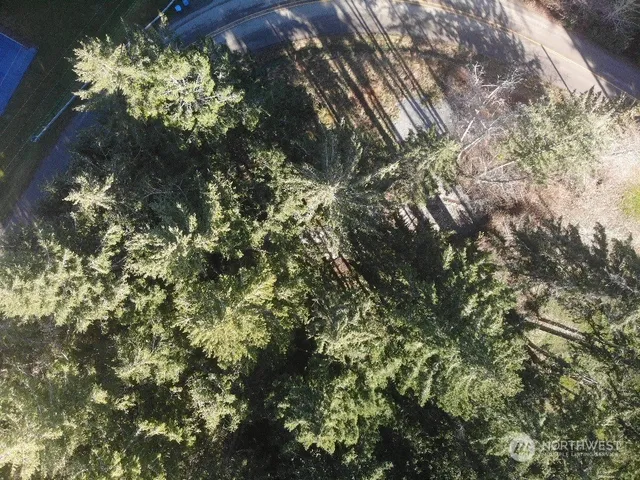 a map view of location