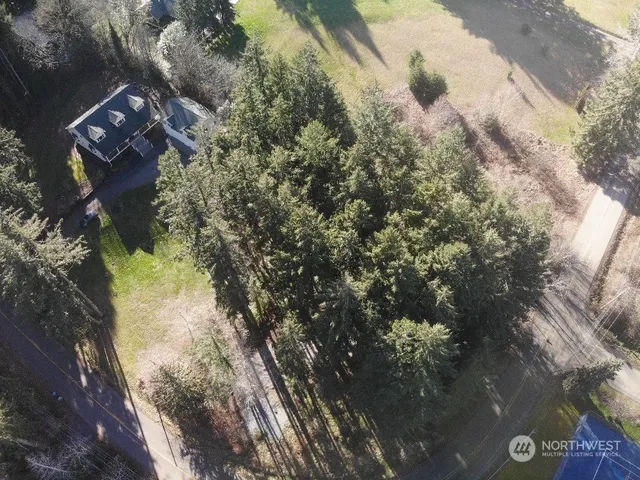 a view of a tree in a yard