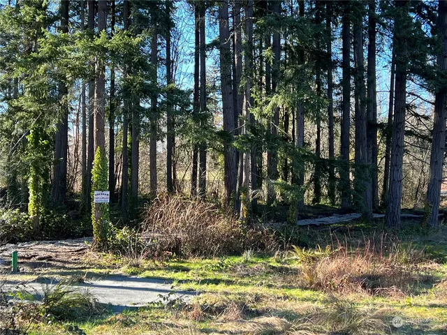 a view of swimming pool with a yard and trees