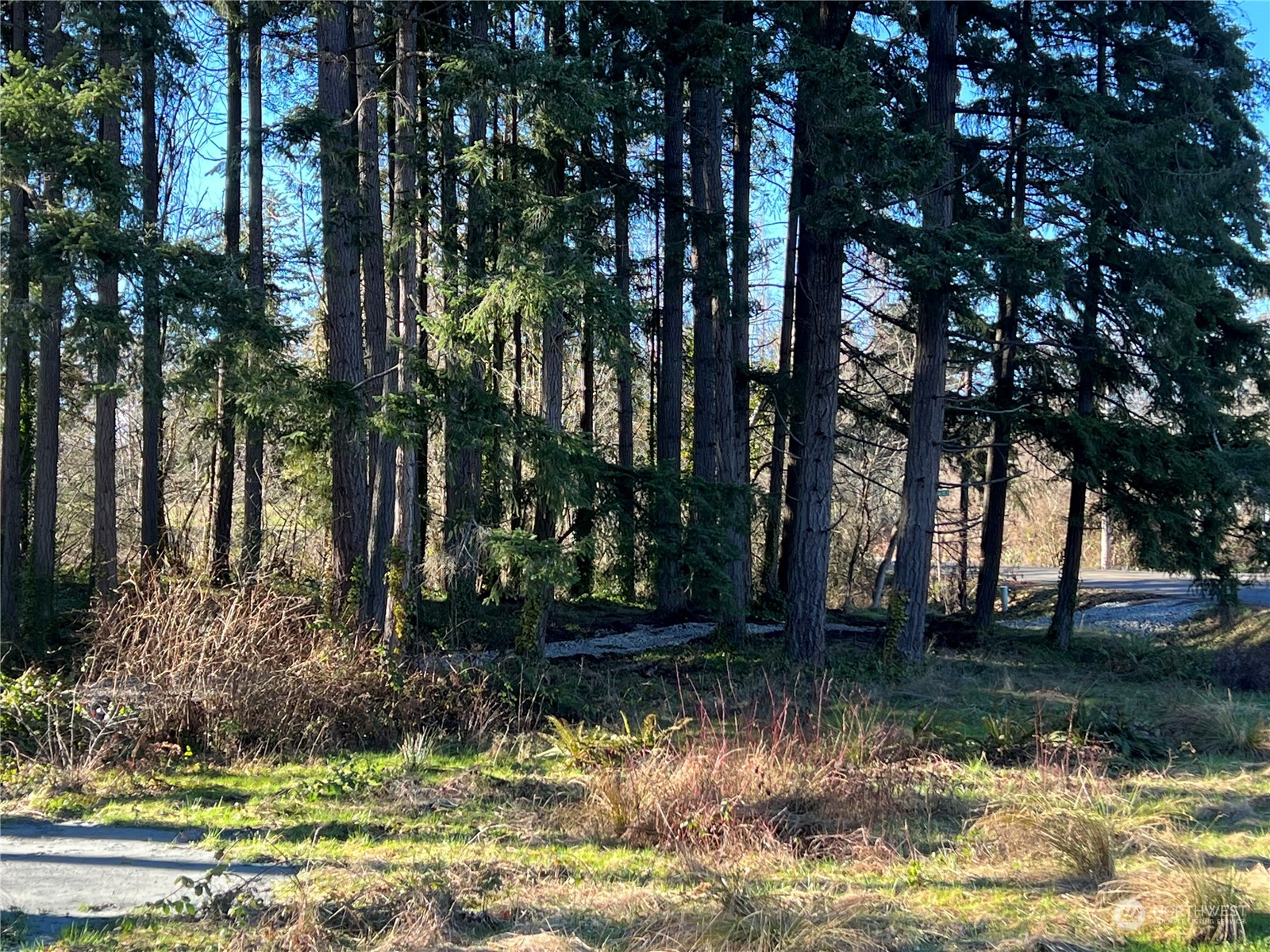 15739 Virginia Loop Road Northeast Poulsbo, WA 98370 - Photo 8 of 23 Gallery Image 8