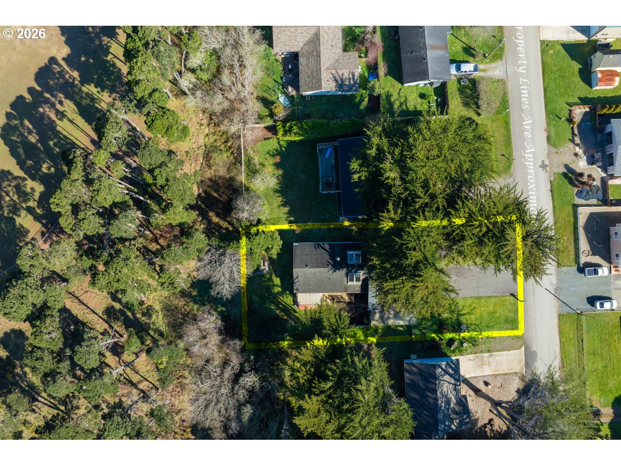 1260 Jackson Avenue Southwest Bandon, OR 97411 - Photo 16 of 48 a view of a garden