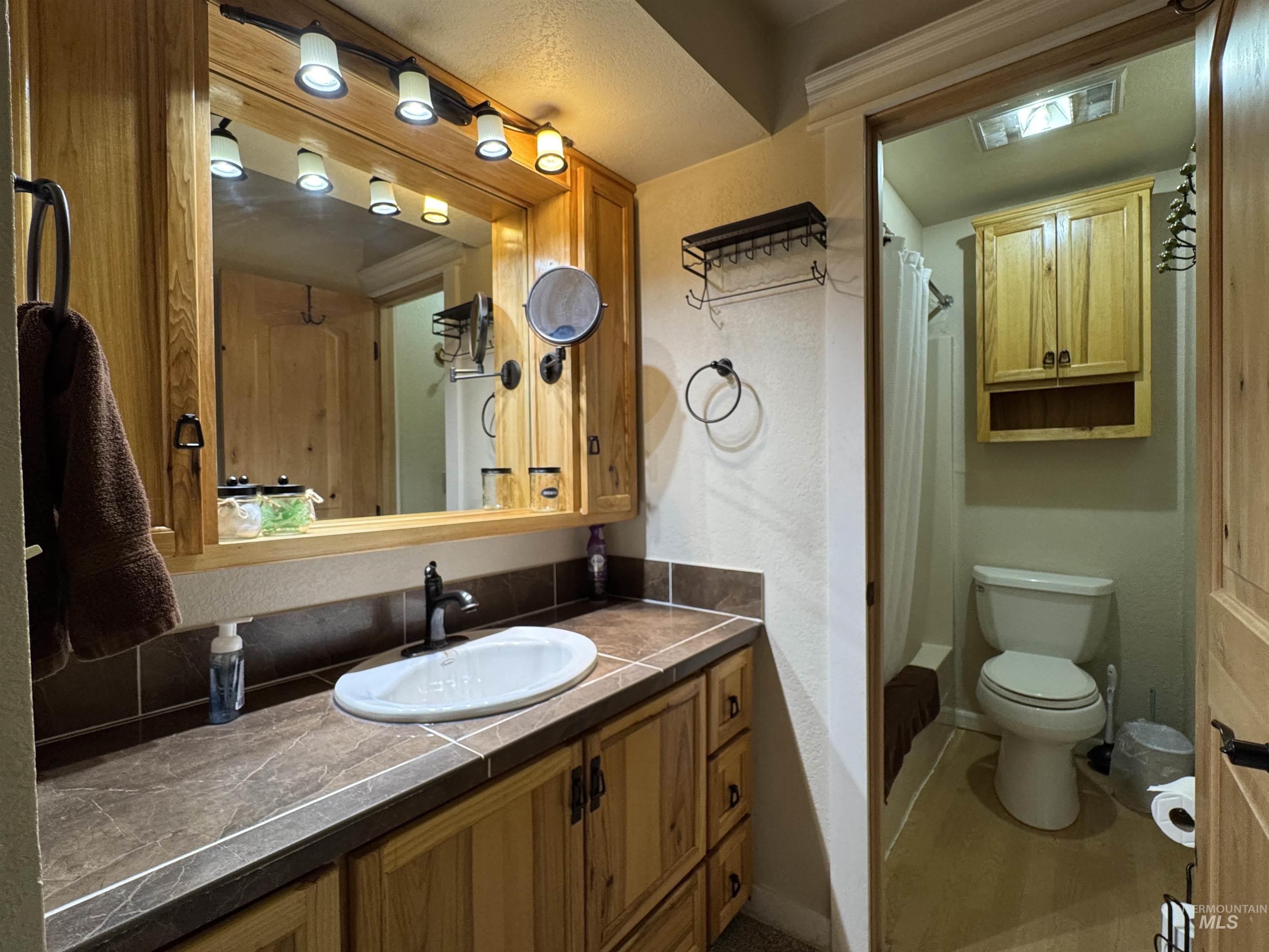 304 McBride Street, Unit 107 107 McCall, ID 83638 - Photo 18 of 28 Bathroom with vanity and toilet