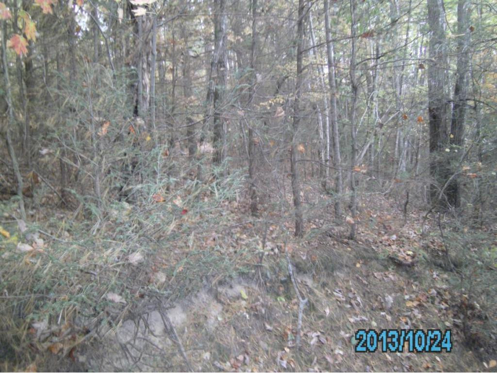 1 Heaton Ridge Road Roan Mountain, TN 37687 - Photo 1 of 1 Photo 1