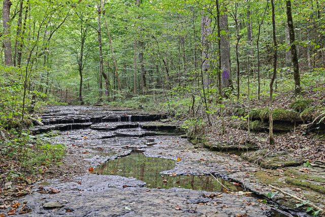 $789,500 | 1010 Wren Court, Kingston Springs, TN 37082