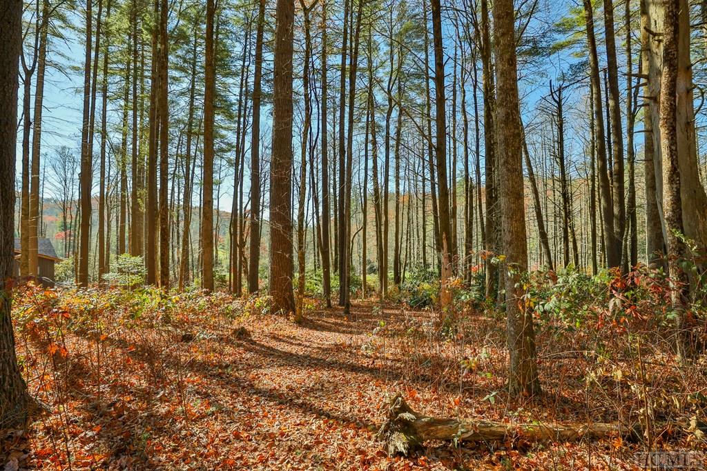 80 Flagstone Road Sapphire, NC 28774 - Photo 7 of 10 Gallery Image 7