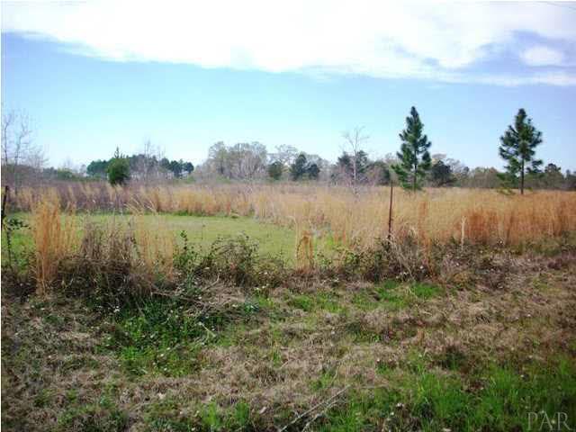 1900-block Cowpen Creek Road Atmore, AL 36502 - Photo 1 of 6 Gallery Image 1
