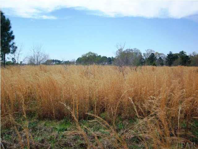 1900-block Cowpen Creek Road Atmore, AL 36502 - Photo 3 of 6 Gallery Image 3