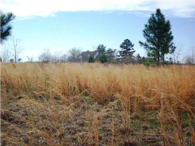1900-block Cowpen Creek Road Atmore, AL 36502 - Photo 5 of 6 Gallery Image 5
