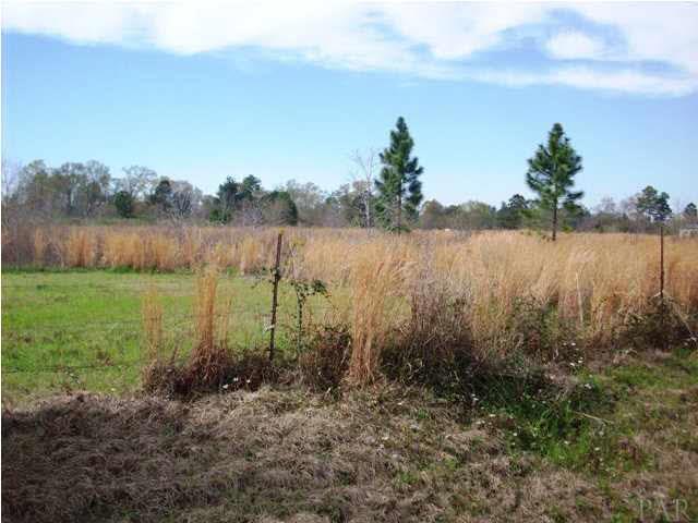 1900-block Cowpen Creek Road Atmore, AL 36502 - Photo 6 of 6 Gallery Image 6