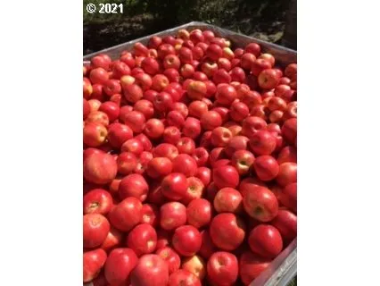 $3,750,000 | 55100 Smock Road, Wamic, OR 97063