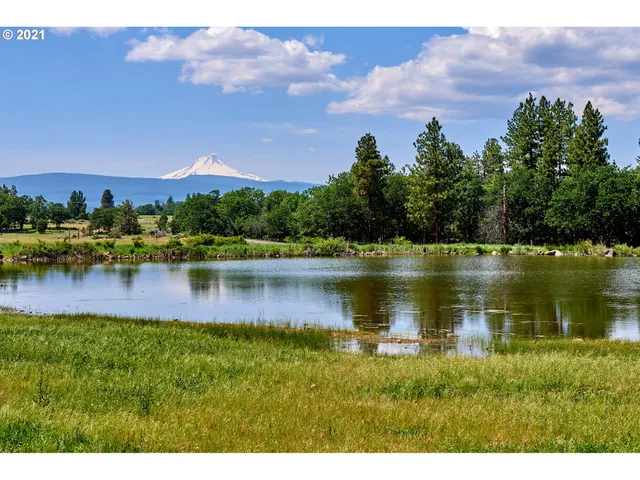a view of a lake with a city