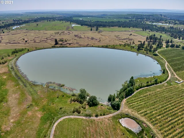 a view of a lake with a mountain