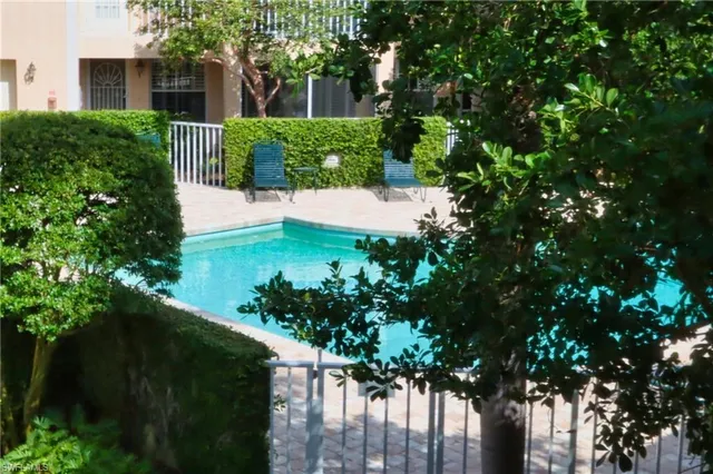a view of a garden with plants
