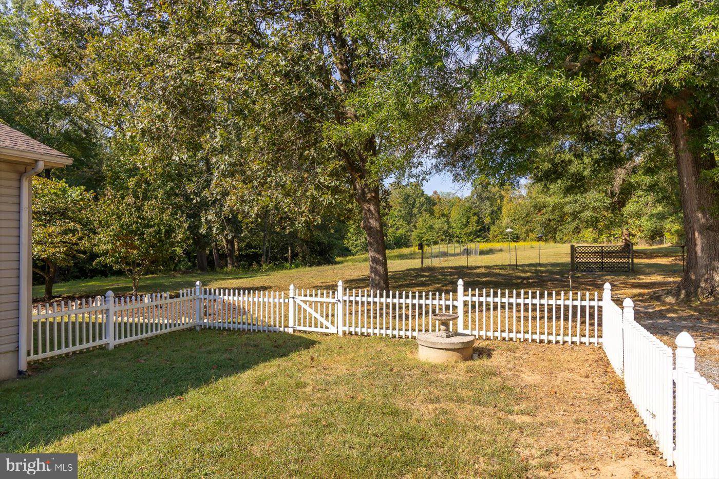 54 Hudson Road Fredericksburg, VA 22405 - Photo 44 of 59 Fully enclosed backyard