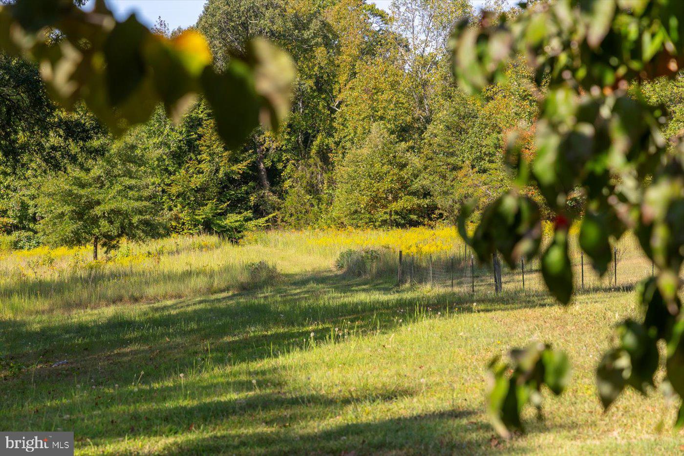 54 Hudson Road Fredericksburg, VA 22405 - Photo 48 of 59 Land