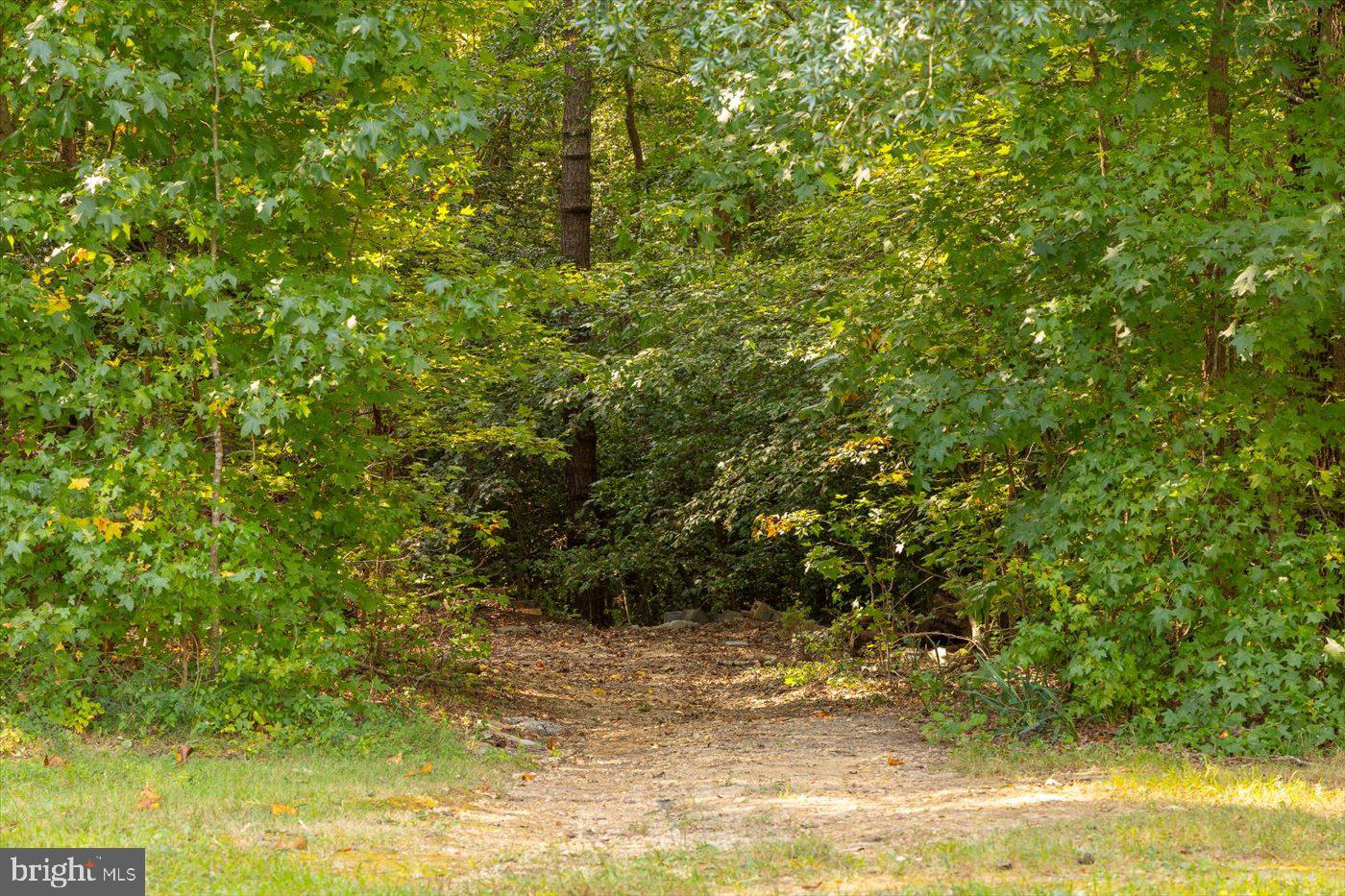 54 Hudson Road Fredericksburg, VA 22405 - Photo 50 of 59 Land