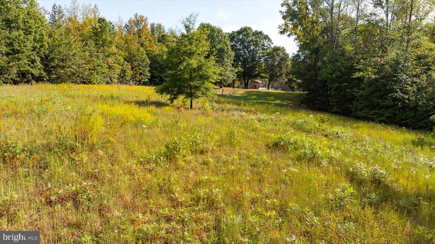 54 Hudson Road Fredericksburg, VA 22405 - Photo 54 of 59 Land