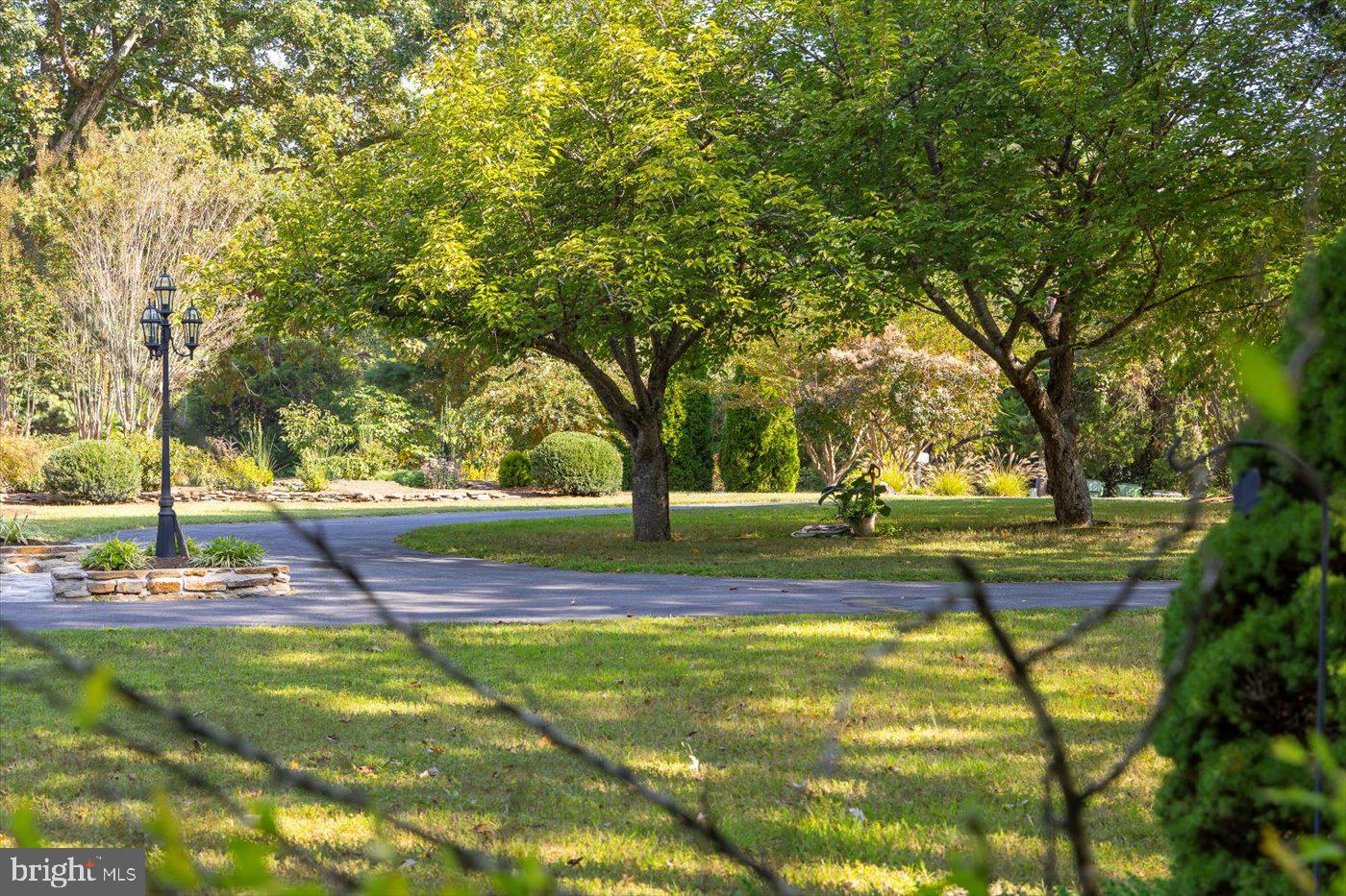 54 Hudson Road Fredericksburg, VA 22405 - Photo 58 of 59 Horseshoe driveway