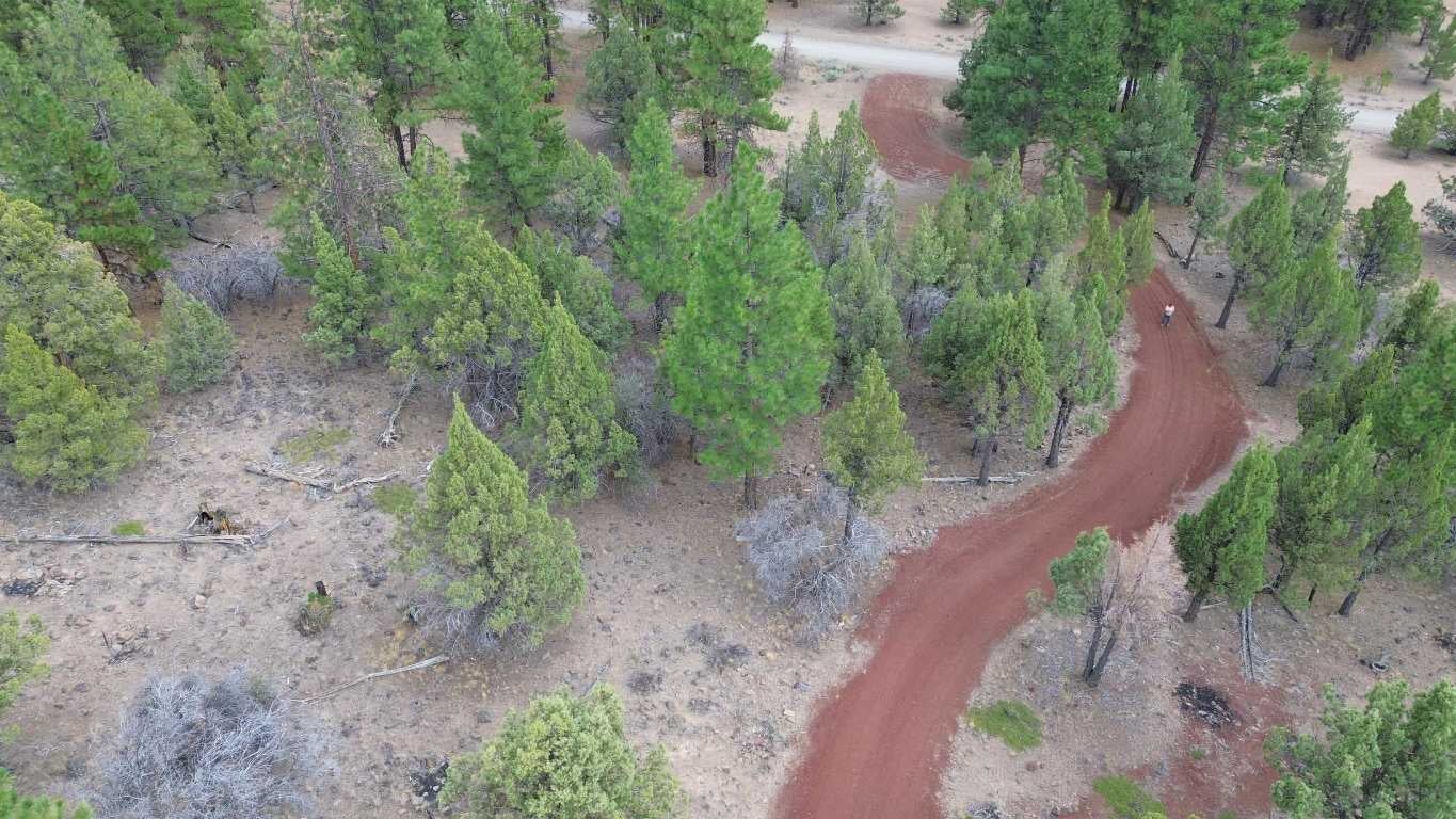 Robison Road Macdoel, CA 96058 - Photo 8 of 30 Gallery Image 8