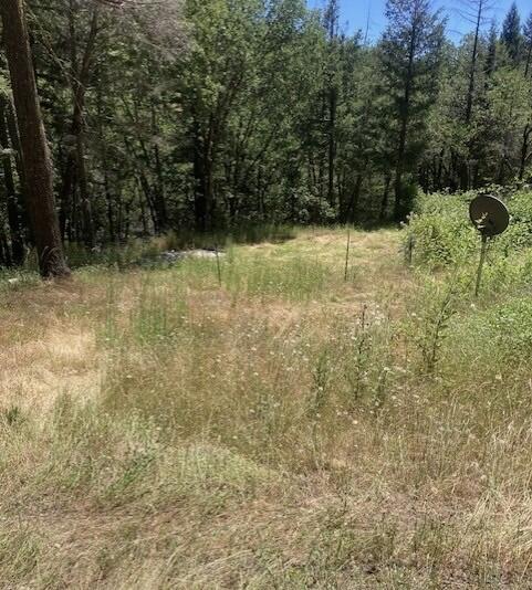 1181 Sanicula Road Mad River, CA 95552 - Photo 21 of 22