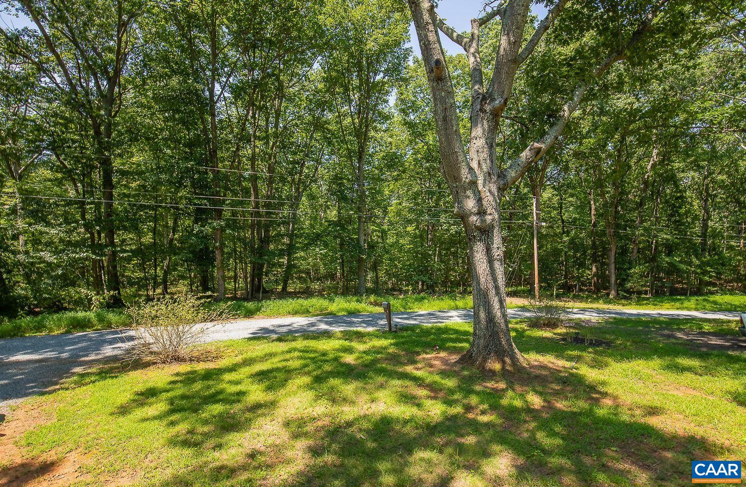157 Duff Lane Ruckersville, VA 22968 - Photo 29 of 32 a view of a tree in a yard
