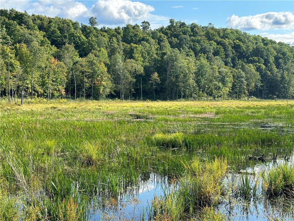 Graham Road Harrisville, NY 13648 - Photo 3 of 10