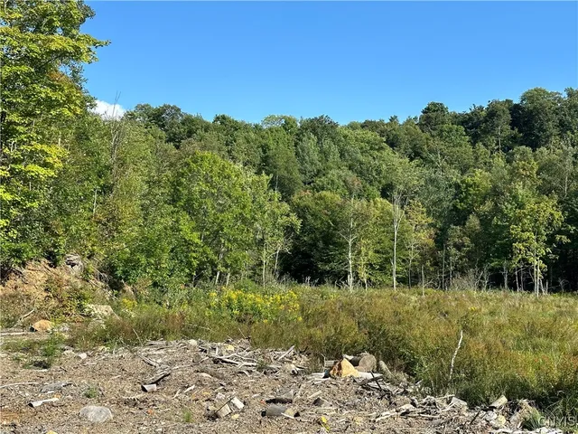 $147,000 | Graham Road, Harrisville, NY 13648