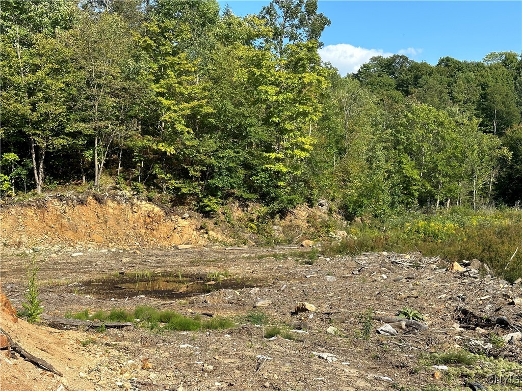 Graham Road Harrisville, NY 13648 - Photo 5 of 10