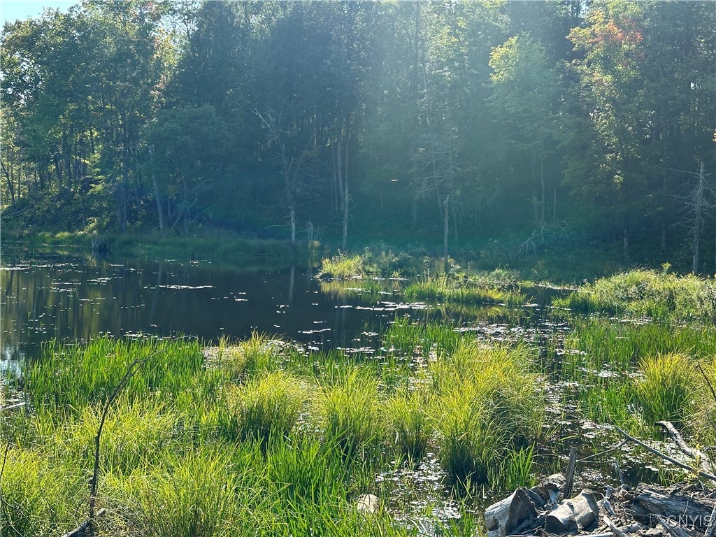 Graham Road Harrisville, NY 13648 - Photo 6 of 10