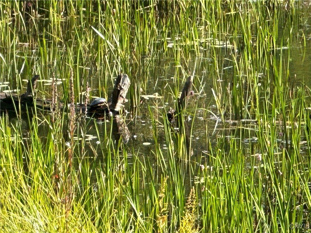 Graham Road Harrisville, NY 13648 - Photo 7 of 10