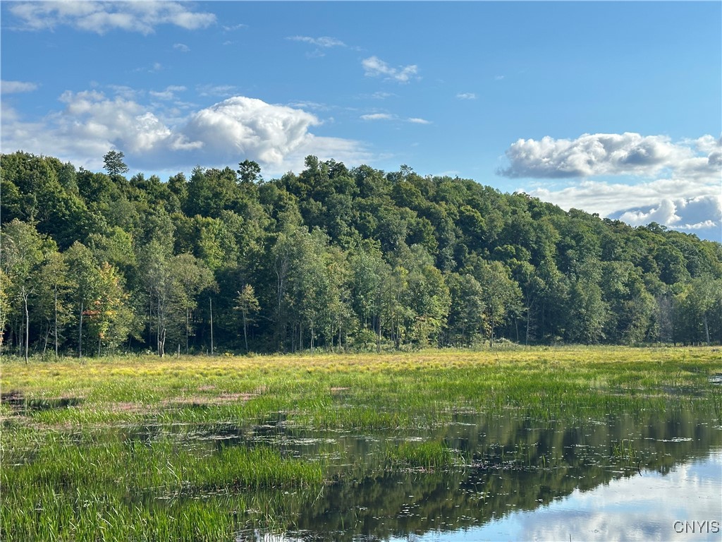 Graham Road Harrisville, NY 13648 - Photo 9 of 10