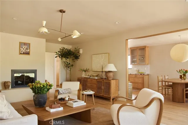 a view of a livingroom with furniture and a potted plant