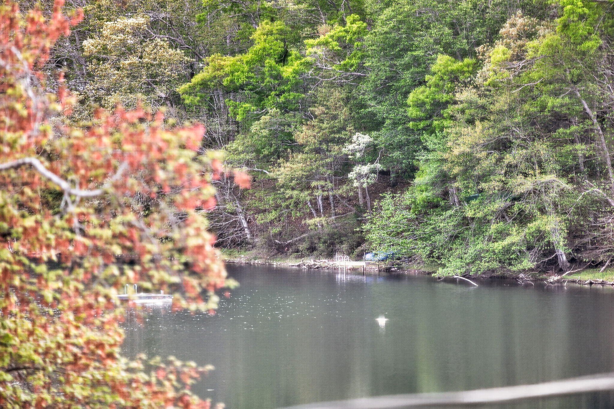 73 Pimlico Pond Road Mashpee, MA 02649 - Photo 25 of 29 35-8P0A7122