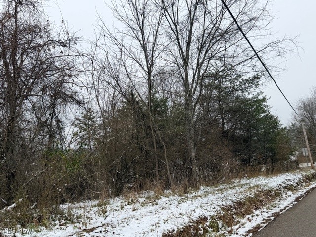 Bailey Road Elizabeth, WV 26143 - Photo 2 of 7