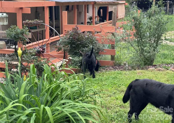 a backyard of a house with lots of green space