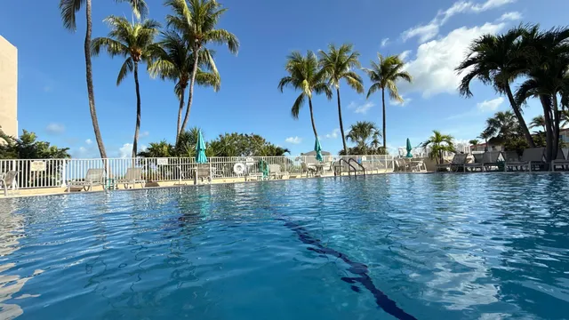a view of ocean with palm trees