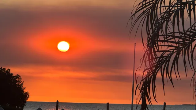 a view of backyard of a house