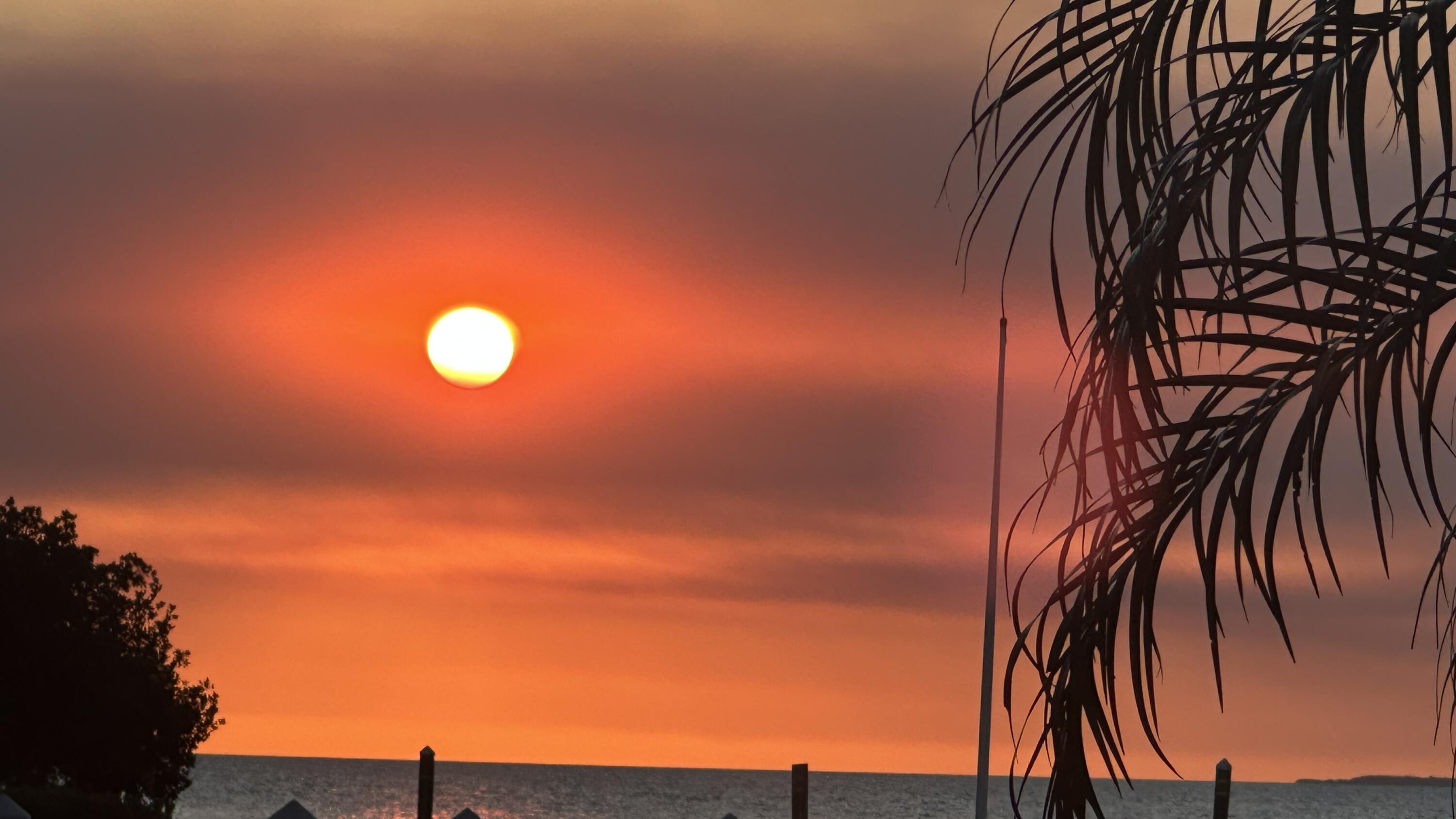 88500 Overseas Highway, Unit 413 Islamorada, FL 33036 - Photo 21 of 25 a view of backyard of a house