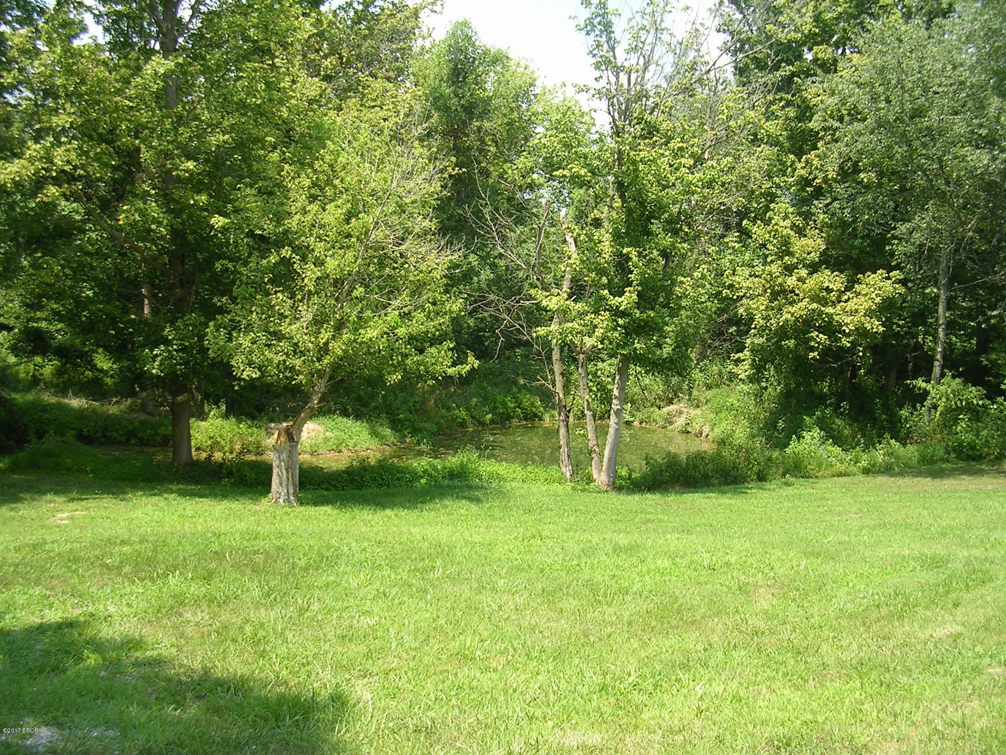 0 West Eden Road Cypress, IL 62923 - Photo 11 of 25 Gallery Image 11