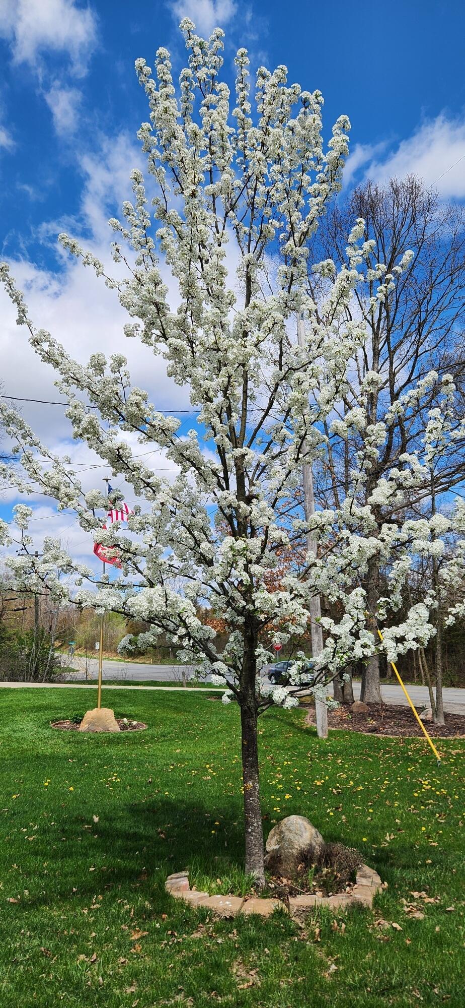 8471 45th Street Southeast Ada, MI 49301 - Photo 63 of 67 20250426_141007_resized