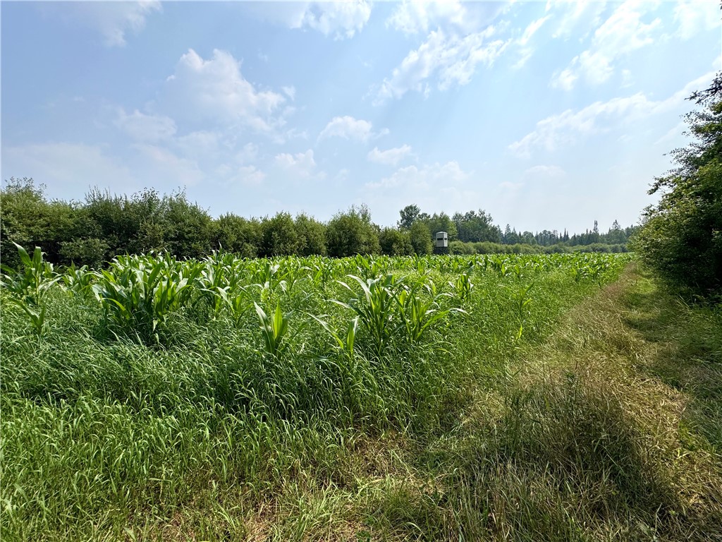N8105 Swamp Road Road Tomahawk, WI 54487 - Photo 24 of 25