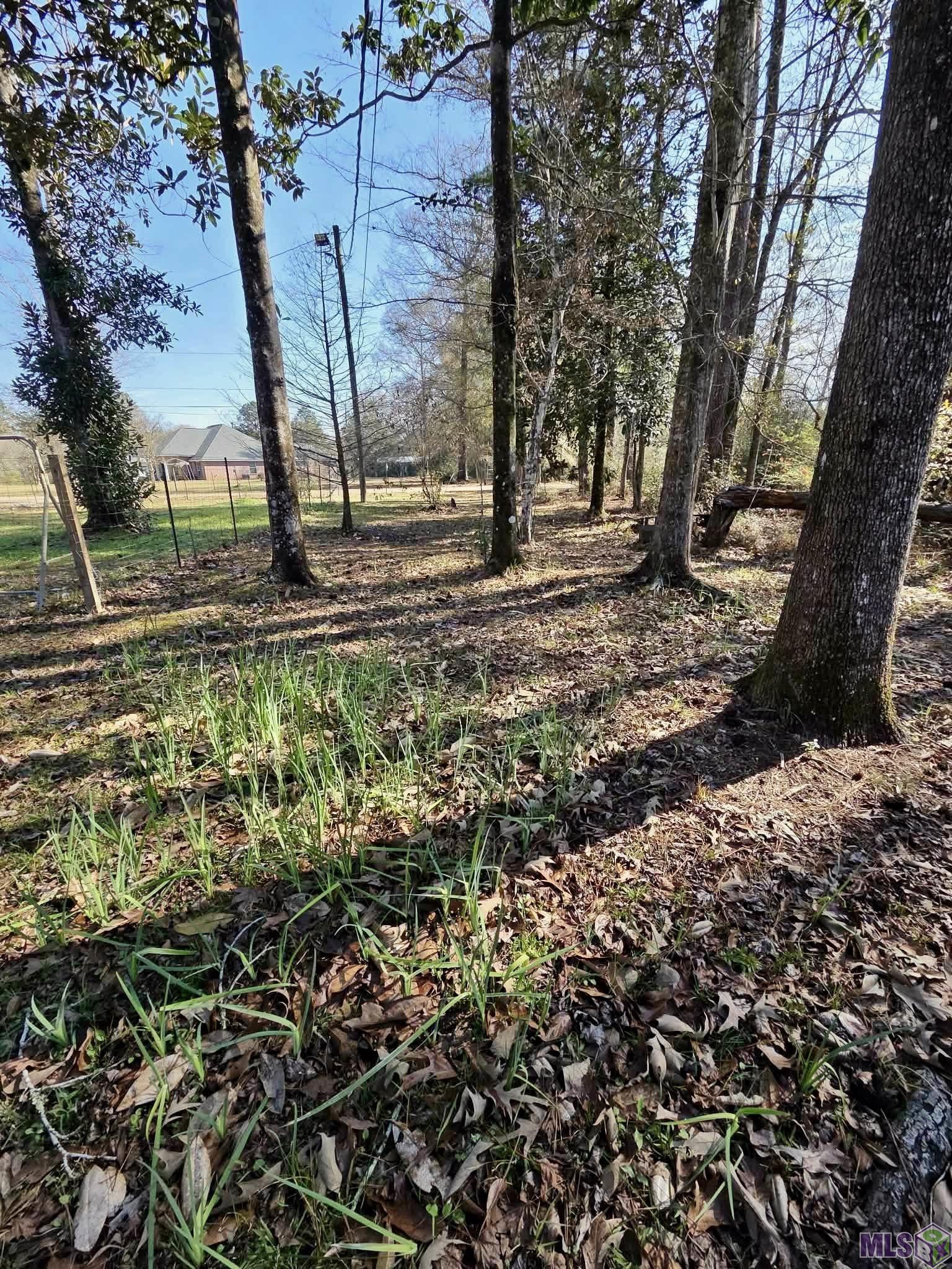 53069 Cason Road Independence, LA 70443 - Photo 2 of 5