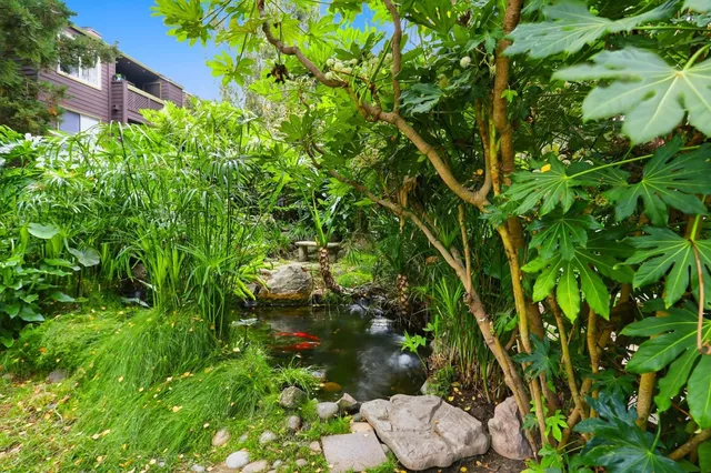 a backyard of a house with lots of green space