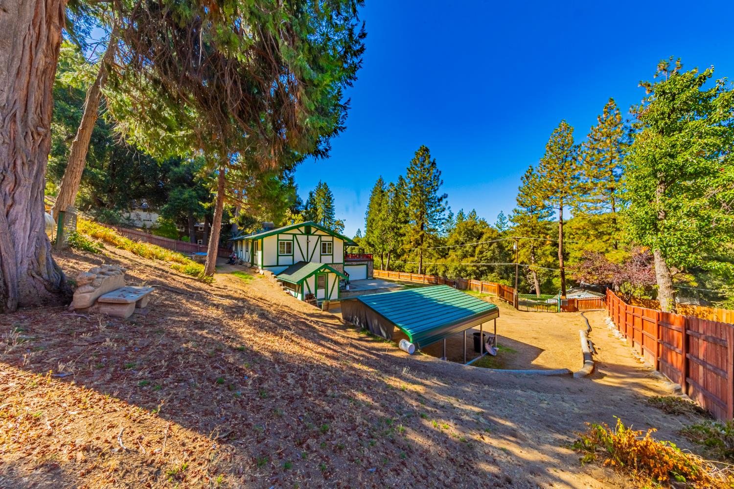 42585 Buckeye Road Oakhurst, CA 93644 - Photo 47 of 55 a view of a yard with plants