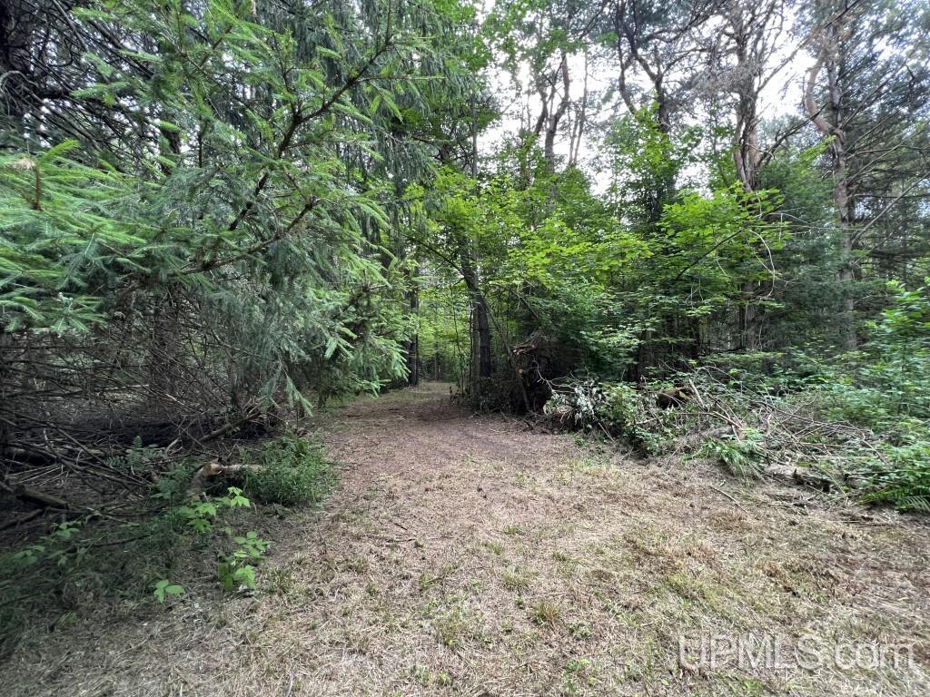 Tbd Tbd Stack Grade Little Lake Rock, MI 49880 - Photo 7 of 45