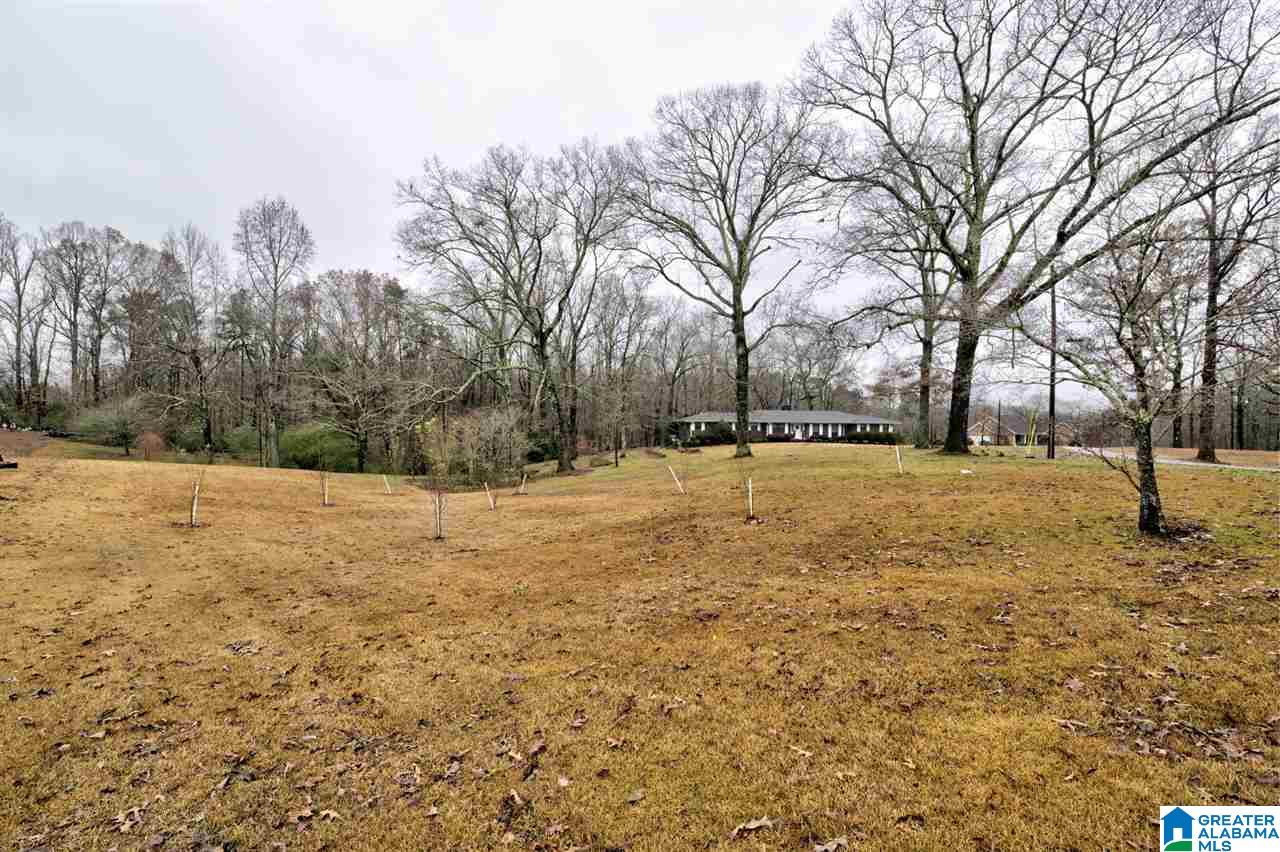 369 Hickory Road Gardendale, AL 35071 - Photo 35 of 41
