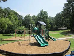 a view of a park with large trees