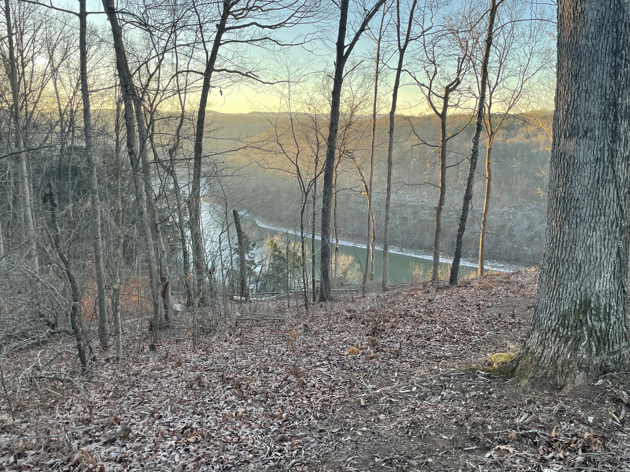 0 Pates Ford Road Walling, TN 38587 - Photo 3 of 17 a view of a yard with large trees