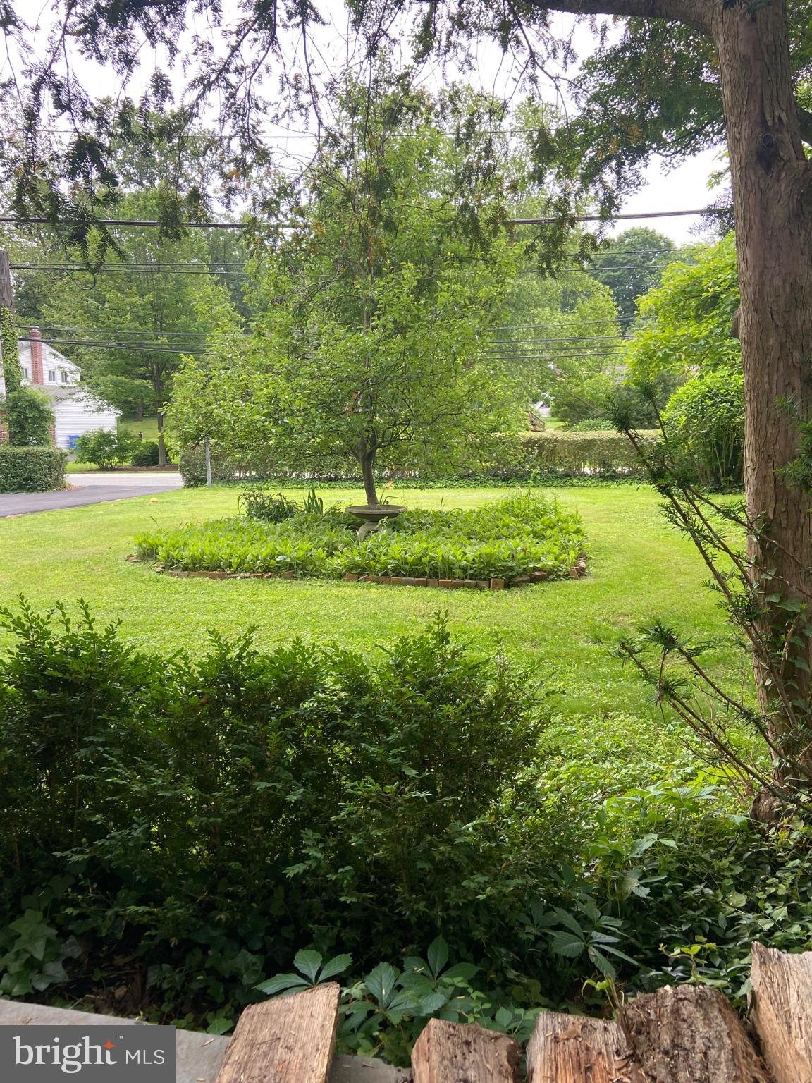 125 Bortondale Road Media, PA 19063 - Photo 4 of 36 Front yard in summer