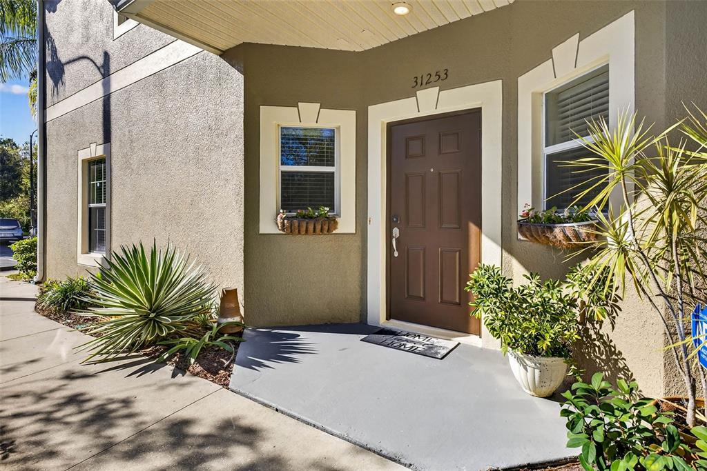 31253 Claridge Place Wesley Chapel, FL 33543 - Photo 3 of 37 a backyard of a house